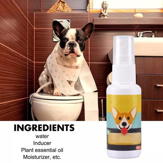 Natural Potty Training Spary for Dog & Cat (Pack of 2) 30ml each